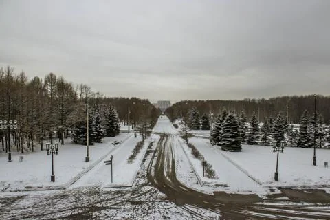 Road in the park Stock Photos