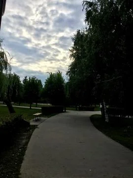 Road in Park Foto stock