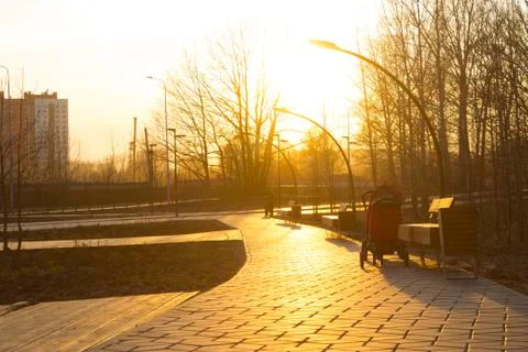 Road in a park Stock Photos