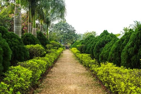 Road in a park Stock Photos