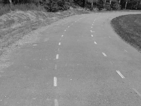 Road in the park 库存照片