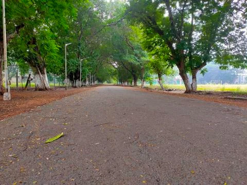 Road in the park Stock Photos
