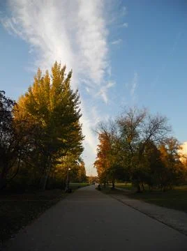 Road in the park Stock Photos