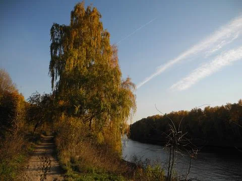 Road in the park Foto stock