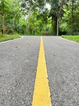 Road in the park Stock Photos
