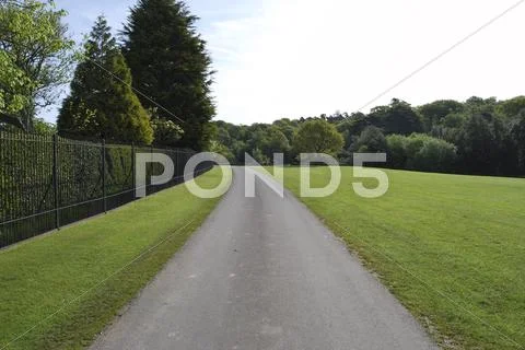 Road in parkland. sussex. england Stock Photos