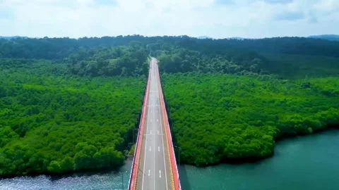 Road pass through forest (Top View) and Ocean waves hit the coastline. Stock Footage 298001831