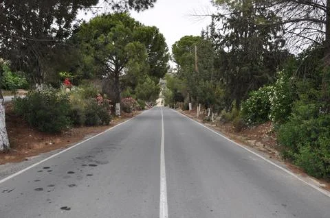 Road passes through a forest Foto stock