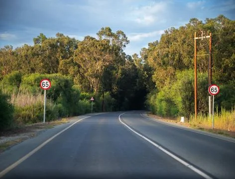 Road passes through a forest Stock-Fotos