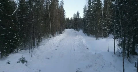 A road passing through a dense winter forest. Karelia, Russia 스톡 동영상 163165972