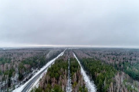 The road passing through the fields, on the sides of the road is growing forest Stock Photos
