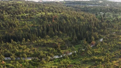 Road passing through forest and fields. Stock Footage 132584424