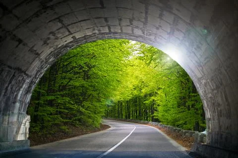 Road passing through the forest seen at the exit of the road tunnel. Stock Photos