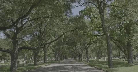 Road passing through graveyard Stock Footage 69742864