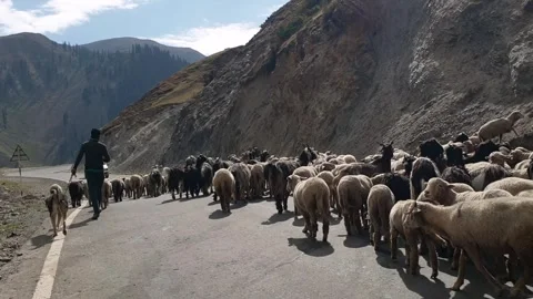 A road passing through a hilly area Stock-Footage 251540968