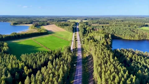 Road passing through middle of mountain pine forest landscape. Stock Footage 294868787