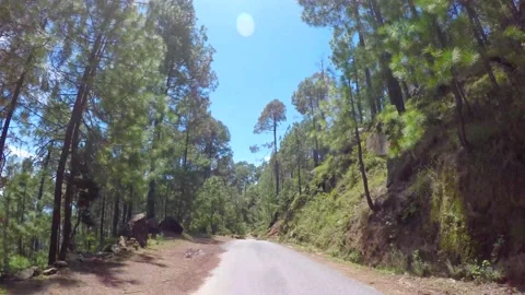 Road passing through the pine trees in uttrakhand india Stock Footage 220413811
