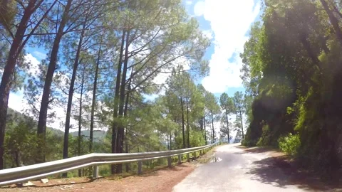 Road passing through the pine trees in uttrakhand Stock Footage 220414049