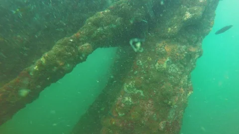 A road path in a desert Stock Footage 99946118