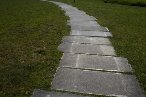 The road is the path with lawn Stock Photos