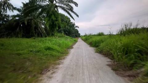 A road with a path in the middle Видео 325831583