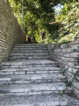 A road paved with gray stone in the middle of the coastal thickets. Varna Foto stock