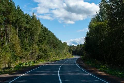 A road paved through the forest. Foto stock