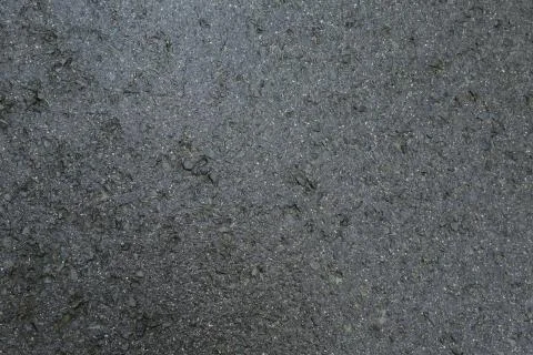 Road Pavement in the Forest Stock Photos