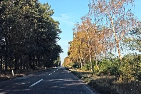 Road 스톡 사진