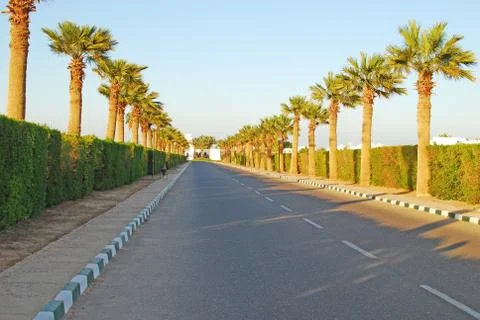 Road Stock Photos