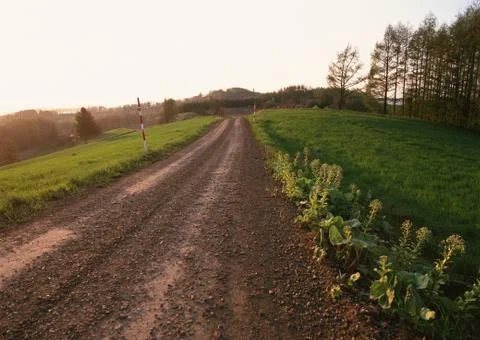 Road Stock Photos