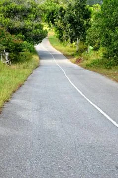 The road Stock Photos