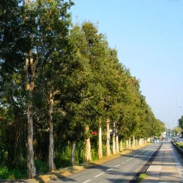 The Road 스톡 사진