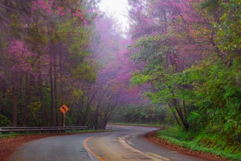 Road Stock Photos