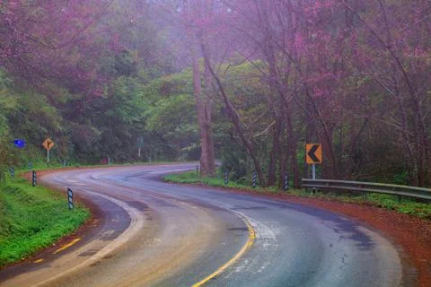 Road Stock Photos