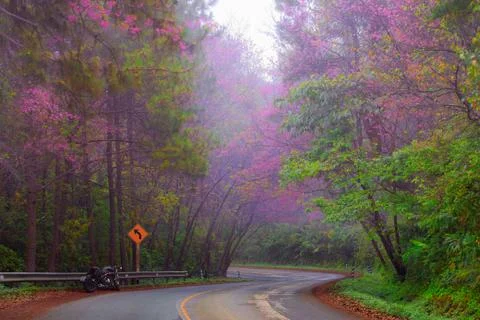 Road Stock Photos