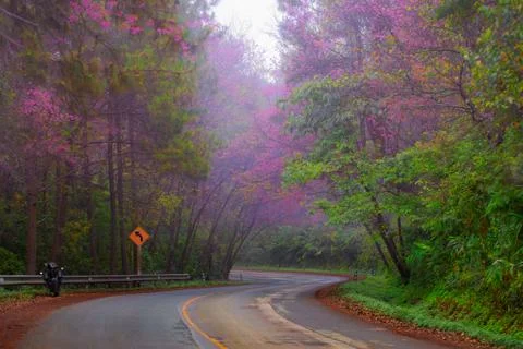 Road Stock Photos