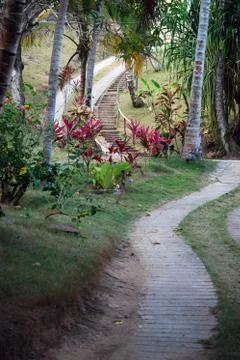 The Road Stock Photos