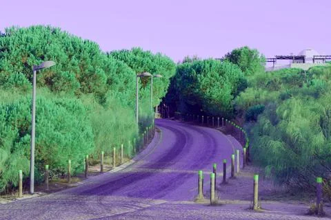 On the road Stock Photos