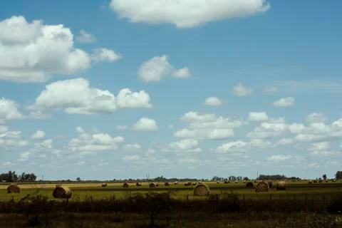 On the road 写真素材