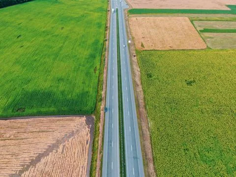 The road Foto stock