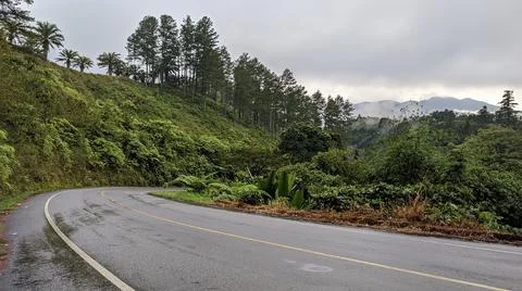 On the road Foto stock