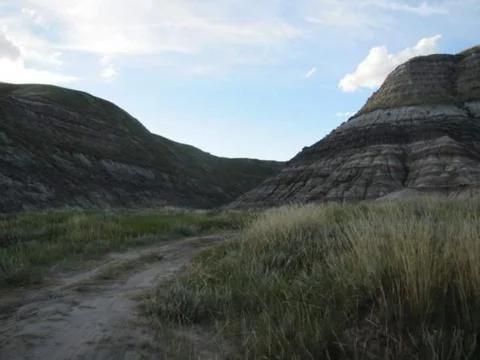 The road Stockfoto's