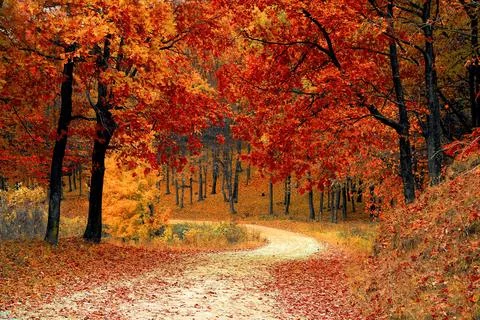 Road 스톡 사진