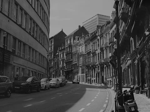 This Road 库存照片