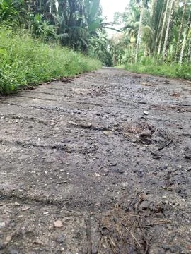 Road Stock Photos