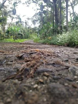 Road Stock Photos
