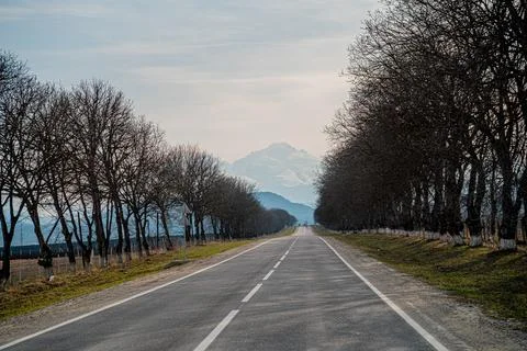 Road Foto stock