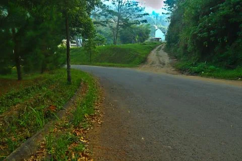 The road Foto stock