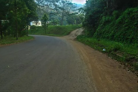 The road Foto stock